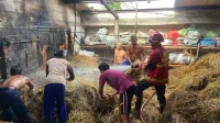Kebakaran Hanguskan Dapur Rumah di Tulungagung