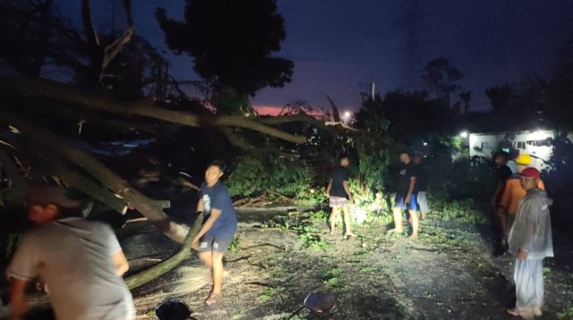 Hujan Disertai Angin Kencang Rusak Rumah Warga dan Tumbangkan Pohon di Kecamatan Plosoklaten